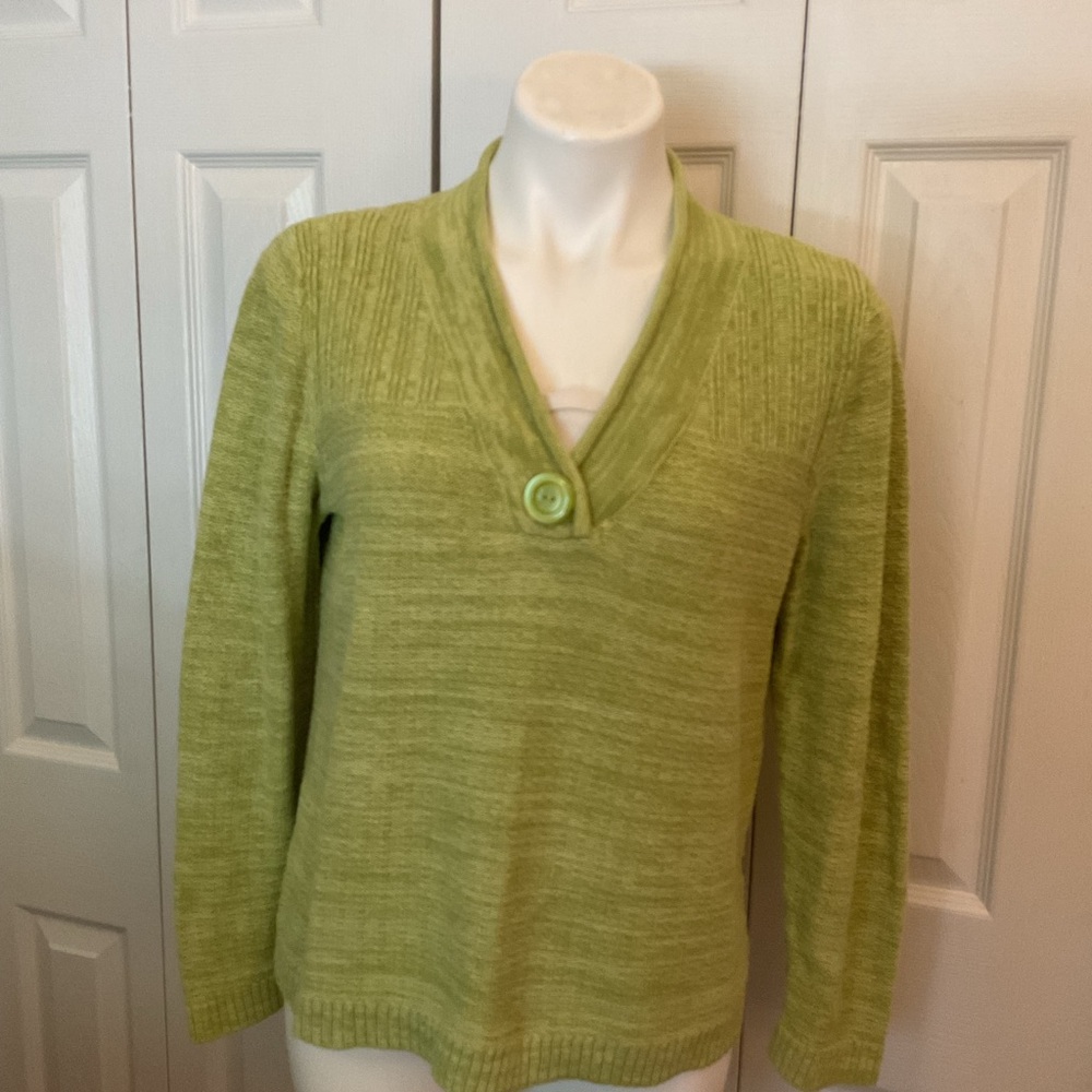 Christopher & Banks Light Green V-Neck Sweater